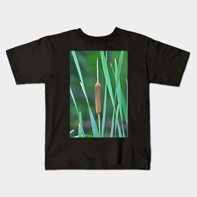 A Lone Cattail Kids T-Shirt by MidnightRose77